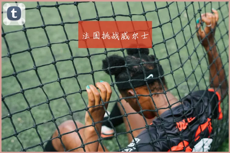 法国挑战威尔士