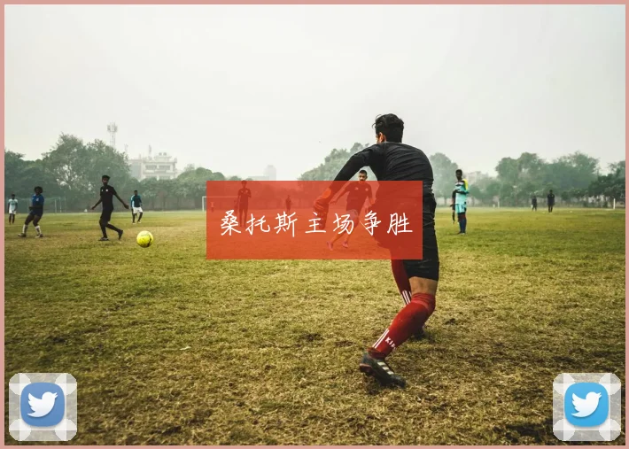 桑托斯主场争胜