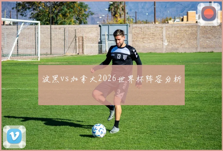 波黑vs加拿大2026世界杯阵容分析