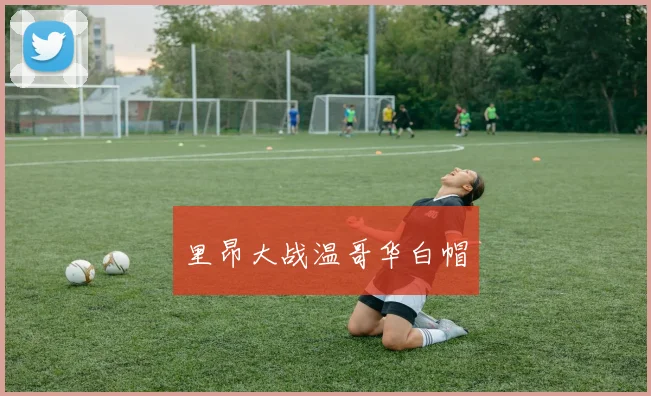 里昂大战温哥华白帽