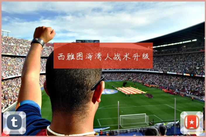 西雅图海湾人战术升级