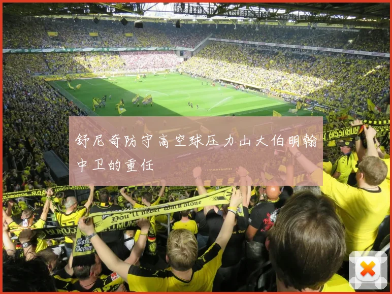 舒尼奇防守高空球压力山大伯明翰中卫的重任