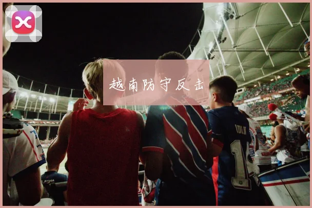 越南防守反击