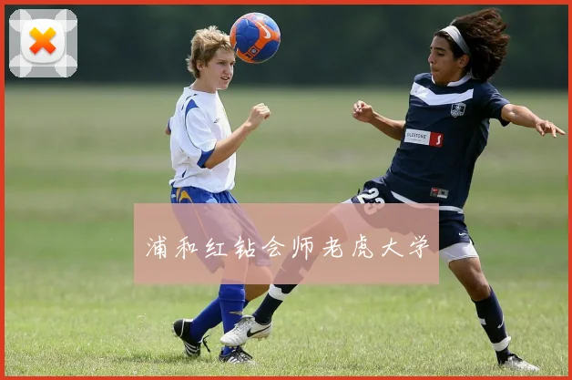 浦和红钻会师老虎大学