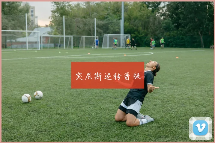 突尼斯逆转晋级