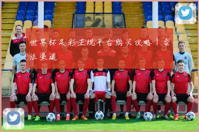 世界杯足彩正规平台购买攻略｜合法渠道