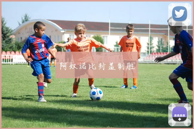 阿奴诺比封盖制胜