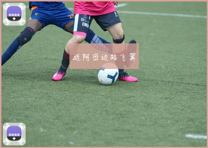 迈阿密边路飞翼