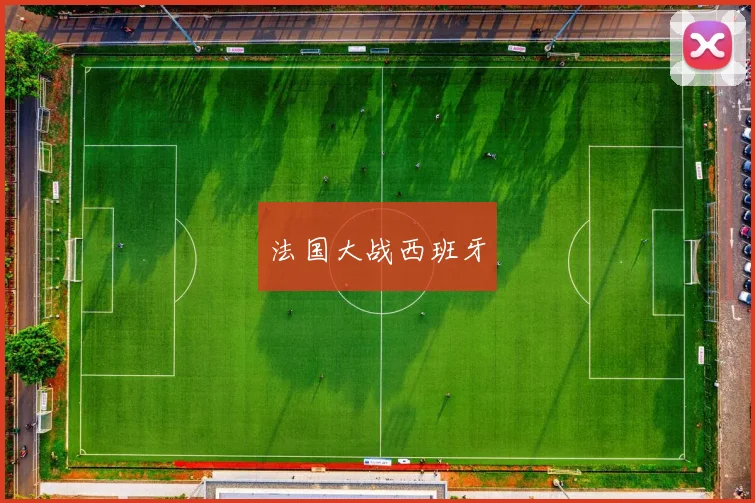 法国大战西班牙