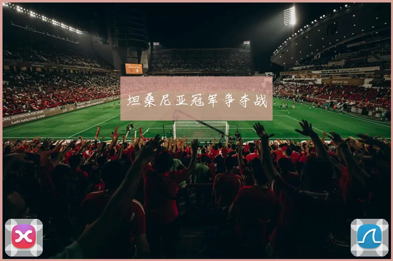 坦桑尼亚冠军争夺战