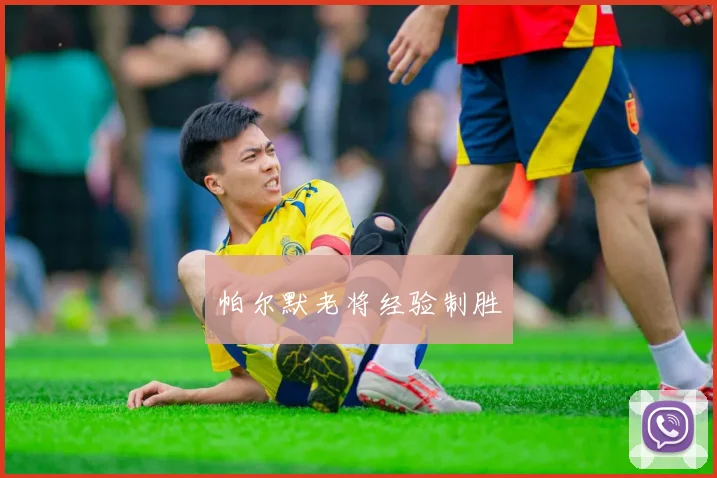 帕尔默老将经验制胜