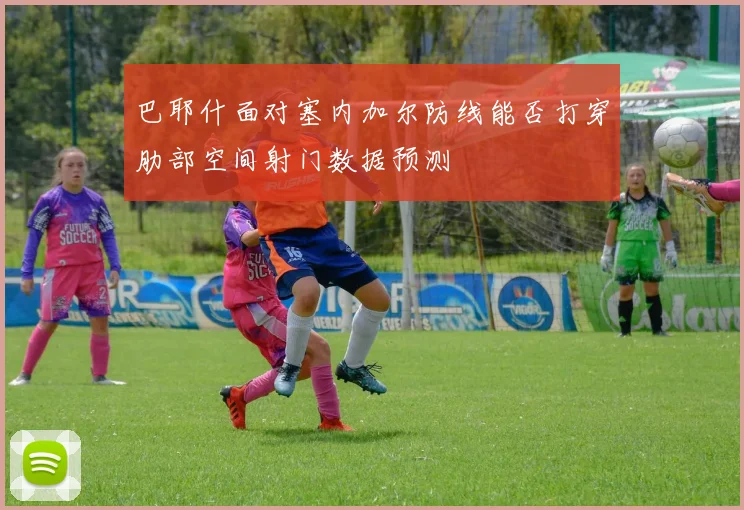 巴耶什面对塞内加尔防线能否打穿肋部空间射门数据预测