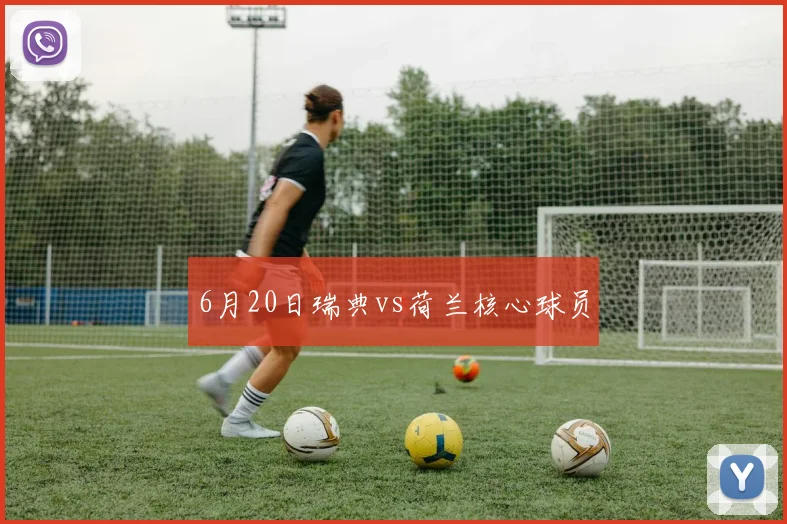 6月20日瑞典vs荷兰核心球员