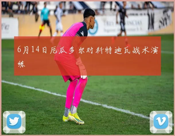 6月14日厄瓜多尔对科特迪瓦战术演练