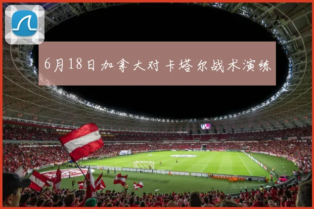 6月18日加拿大对卡塔尔战术演练